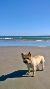 Breaking all the rules