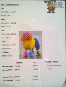 A bit of colour sir?