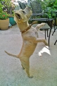 Cooler weather, let's dance!!!