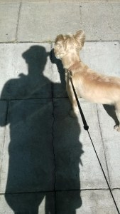 Me and my shadow.... All the way to North Carolina