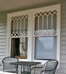 Curtain twitcher....