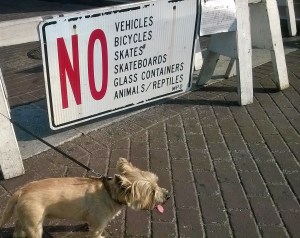 Beale Street entrance