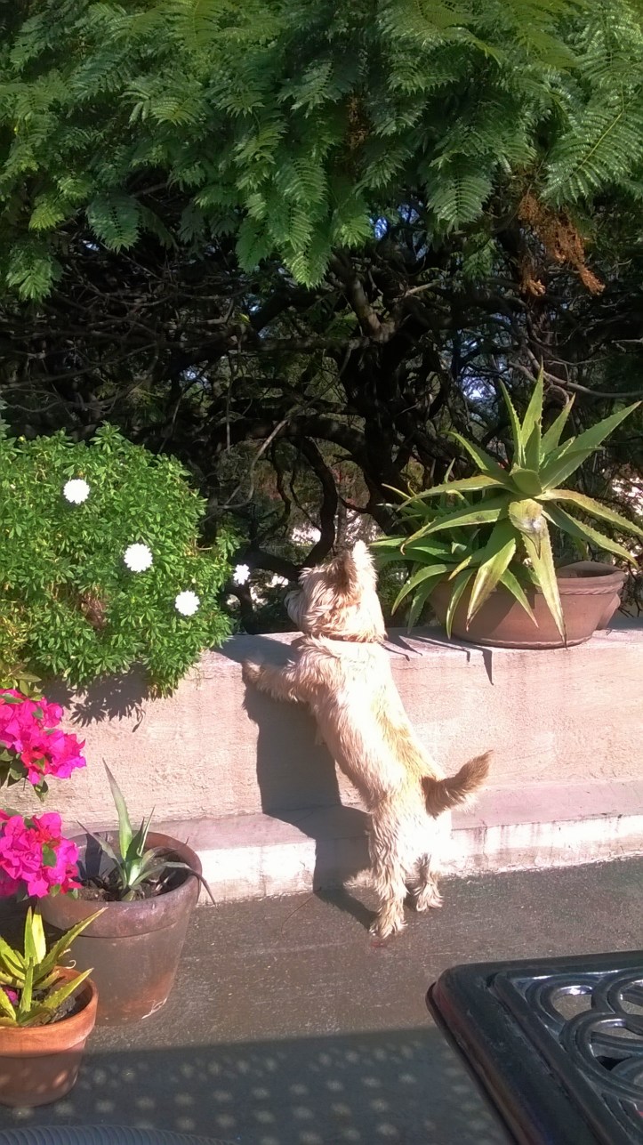 Sight_2015_11_29_165931_398