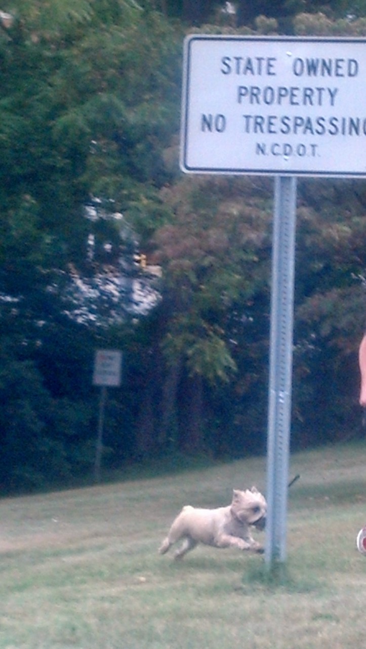 2015-09-24_20-40-16_794