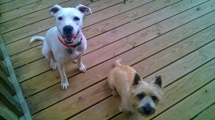 sight_2016_08_14_144213_470