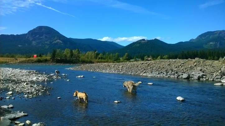 sight_2016_08_27_173343_306