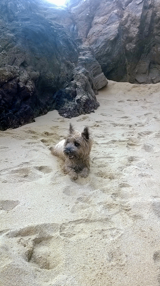 wp_20160216_020-animation