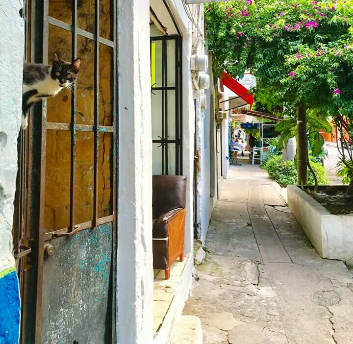 eyeemfiltered1475966498908