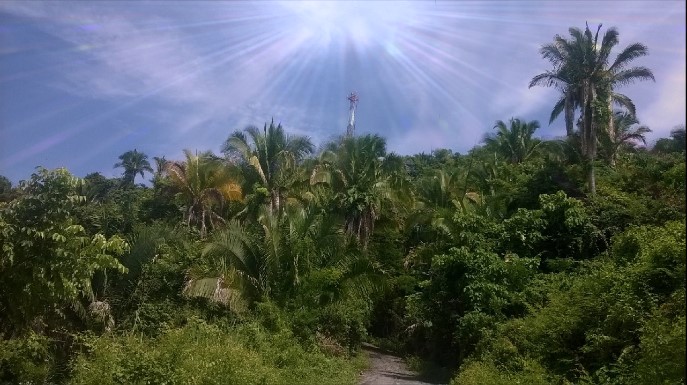 Photo_Editor15-09-2017_203757