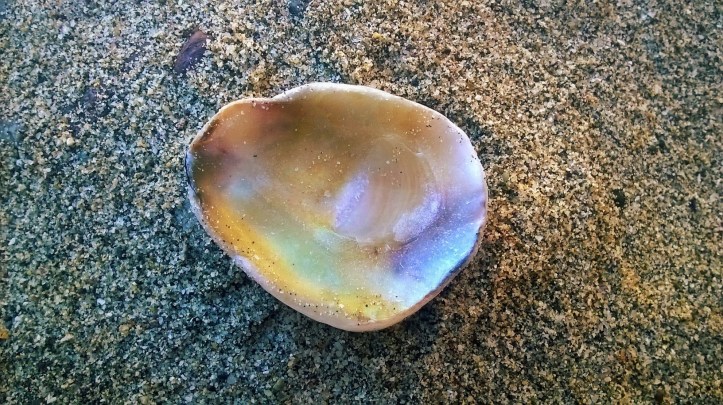 Sight_2017_01_06_121519_990