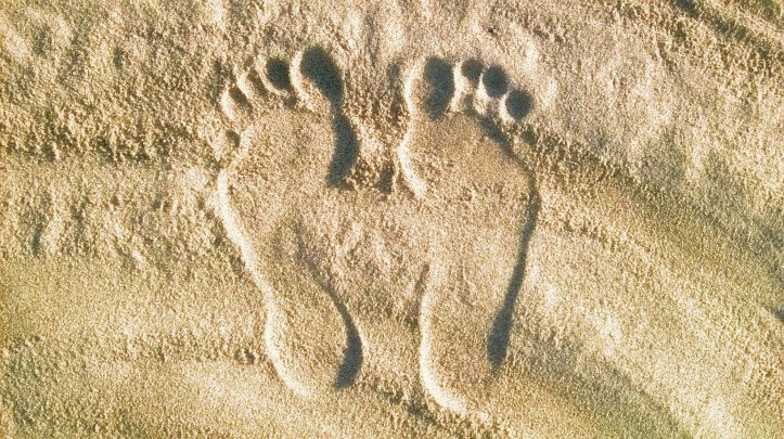 Sight_2018_01_17_204530_879